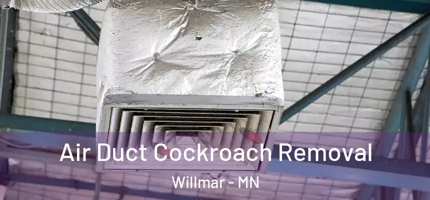 Air Duct Cockroach Removal Willmar - MN