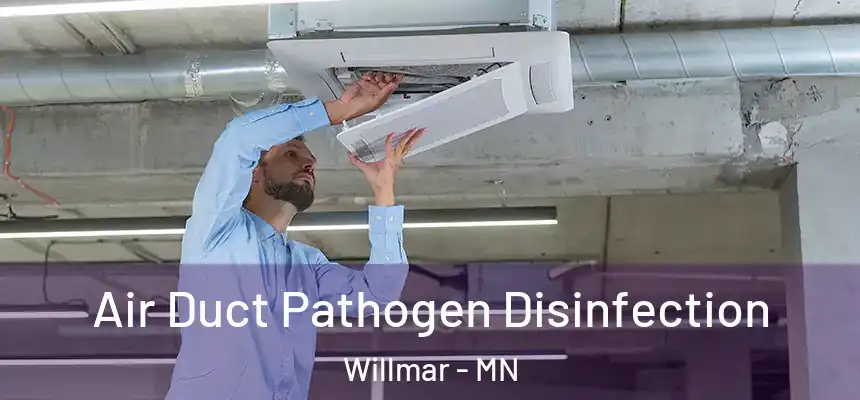Air Duct Pathogen Disinfection Willmar - MN