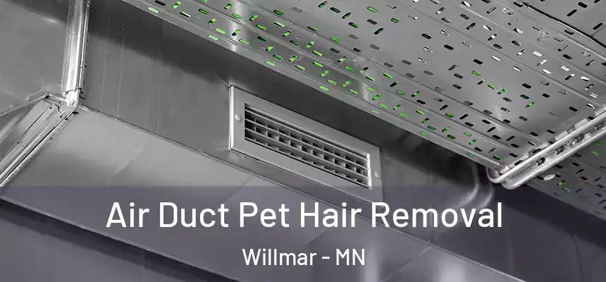  Air Duct Pet Hair Removal Willmar - MN