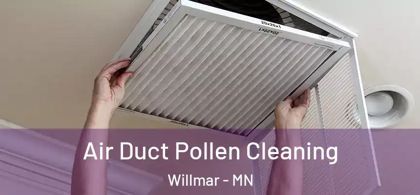 Air Duct Pollen Cleaning Willmar - MN