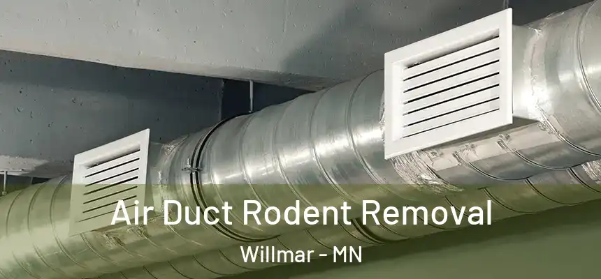 Air Duct Rodent Removal Willmar - MN