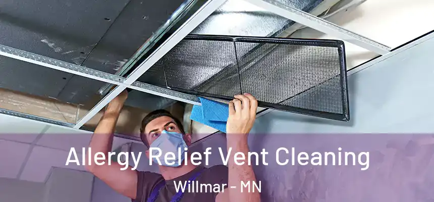 Allergy Relief Vent Cleaning Willmar - MN