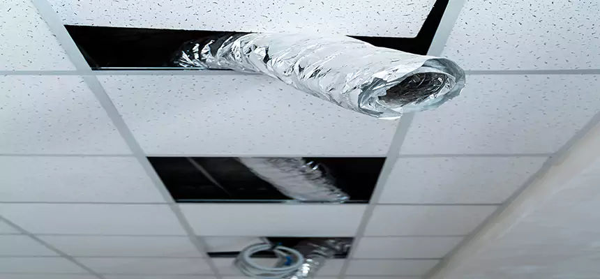 Our Air Duct Pet Hair Removal Services in Willmar, MN