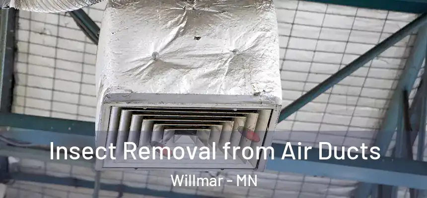 Insect Removal from Air Ducts Willmar - MN