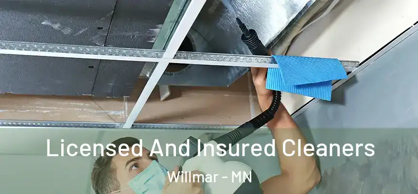 Licensed And Insured Cleaners Willmar - MN