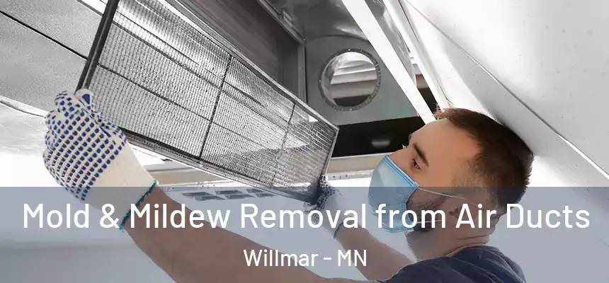  Mold & Mildew Removal from Air Ducts Willmar - MN