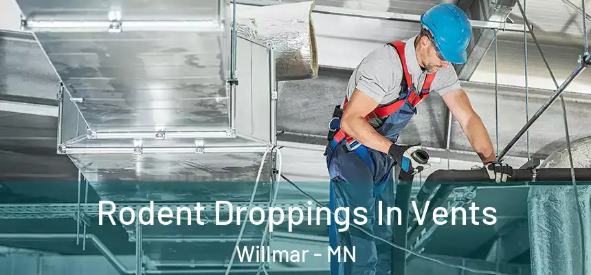 Rodent Droppings In Vents Willmar - MN