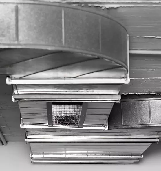 Professional Air Duct Pest Removal in Willmar, MN