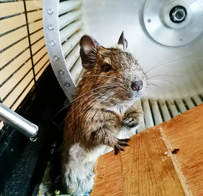 Why Homeowners & Businesses Trust Us Willmar, MN