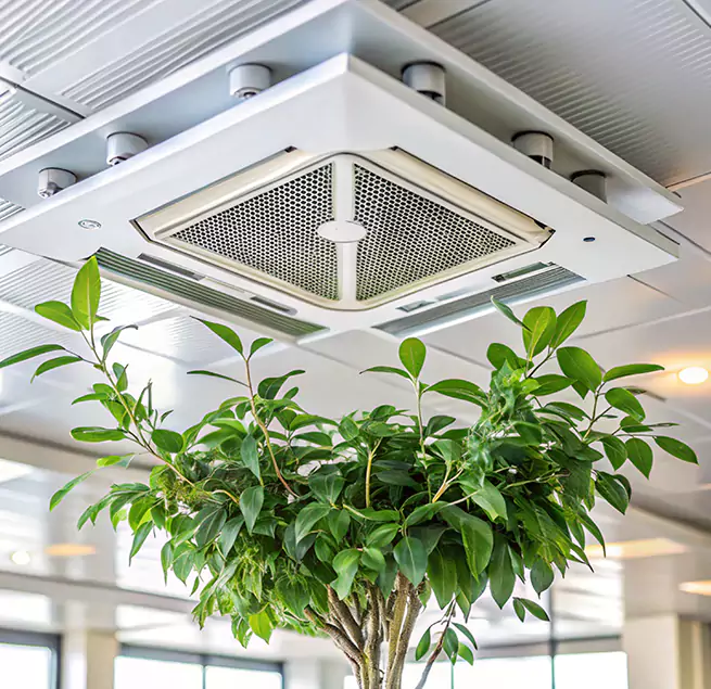 Why Homeowners & Businesses Trust Us in Willmar, MN?